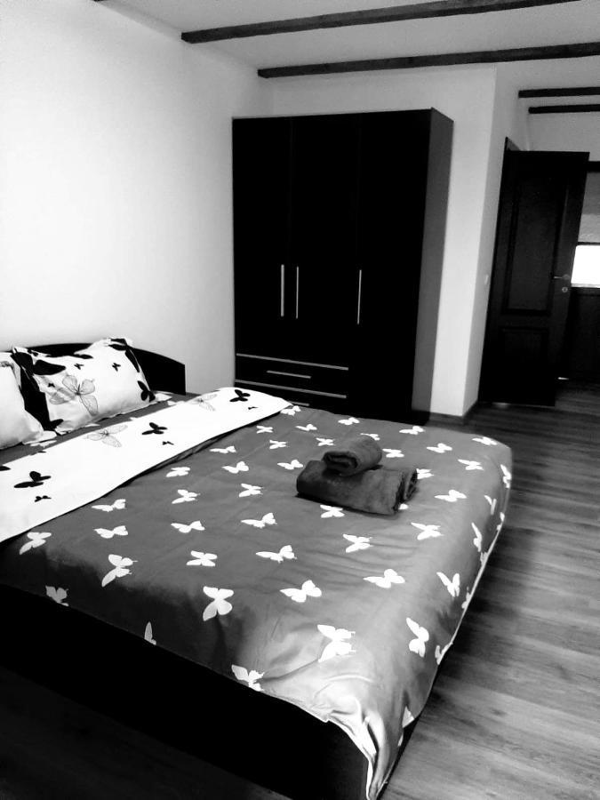 Casa De Vacanta Sadu Esterno foto