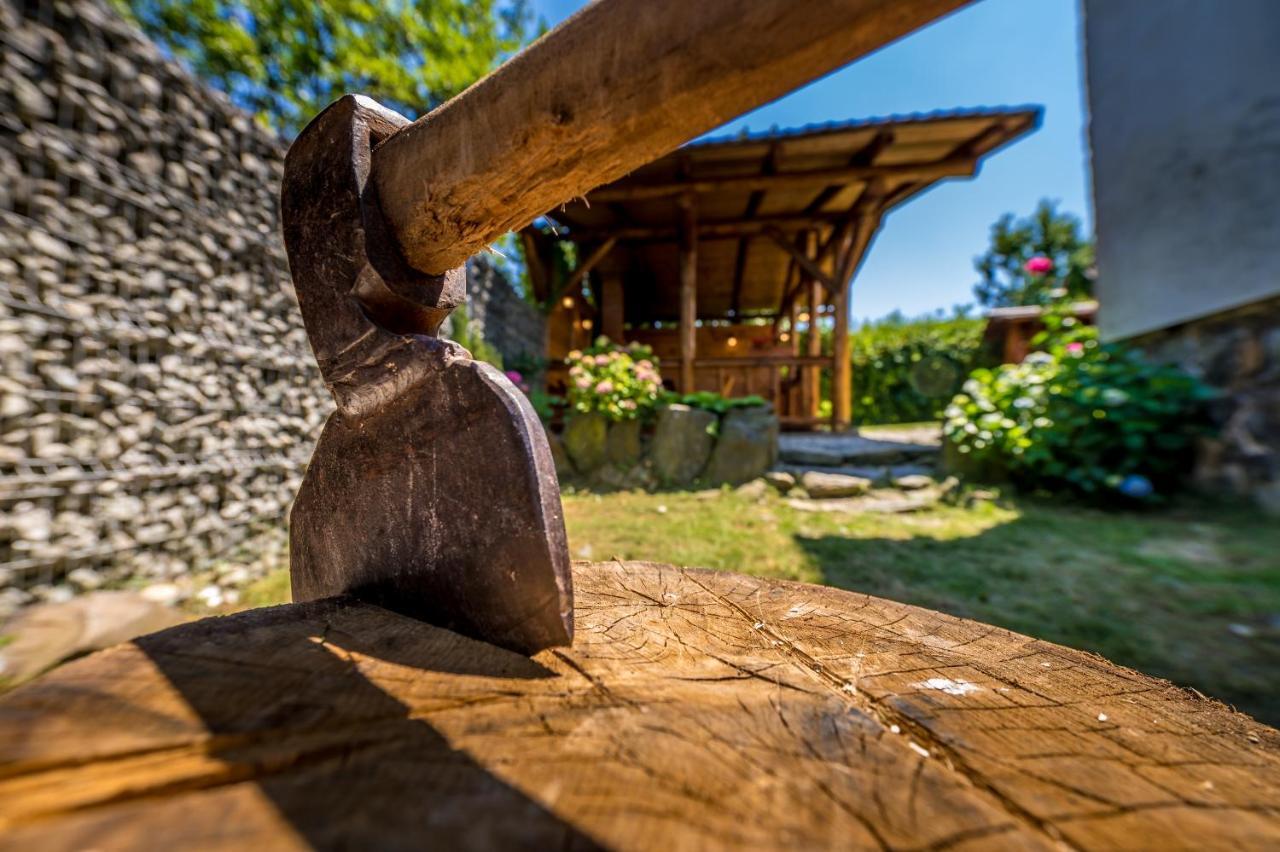 Casa De Vacanta Sadu Esterno foto